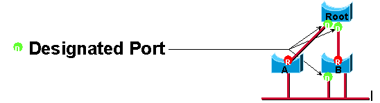 designated_port.gif