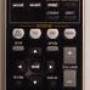 remote_rav293.jpg